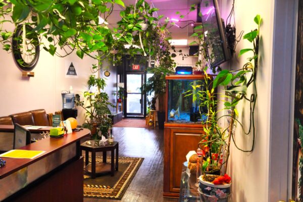 Transform your massage journey into a rejuvenating retreat. Immerse yourself in nature's calm and refresh your soul.